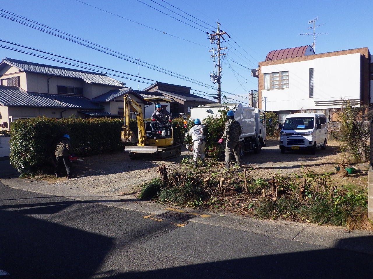 重機による伐採作業